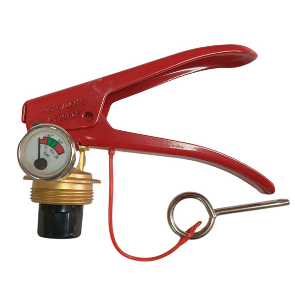 Tête mixte poudre/eau+AFFF 4-12kg MV